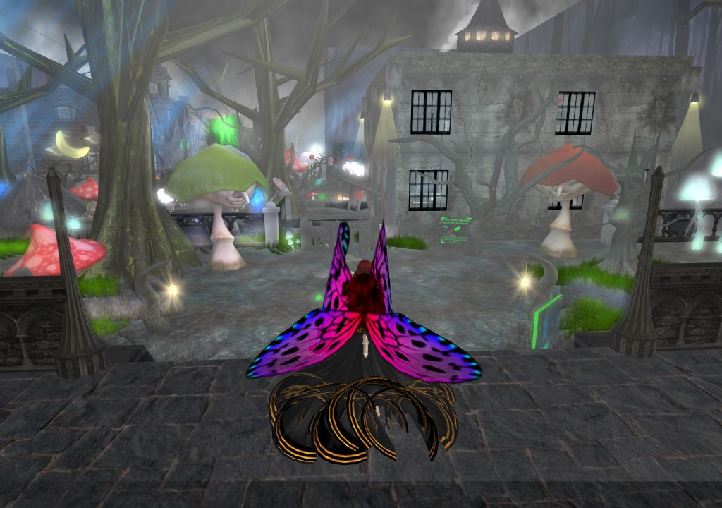 Snapshot_1556