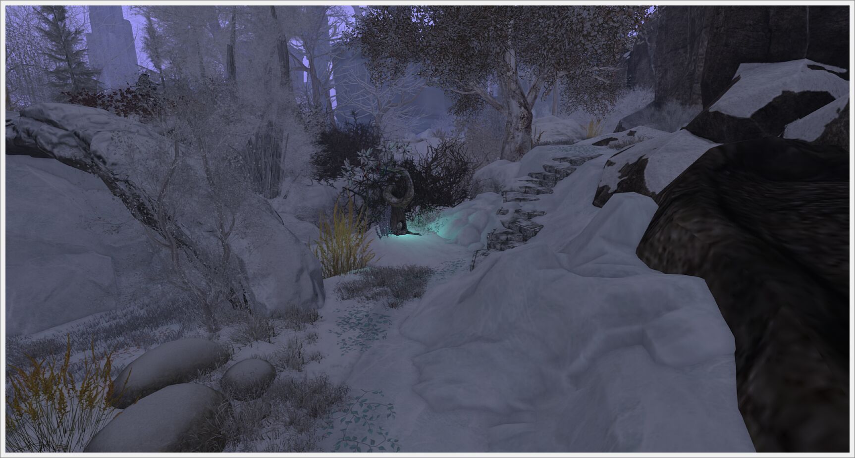 nova_025