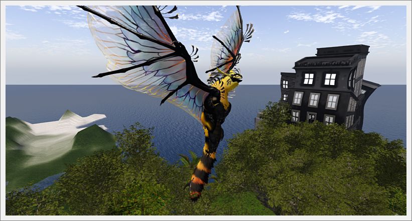 Secondlife_2026-05-13_161607_001