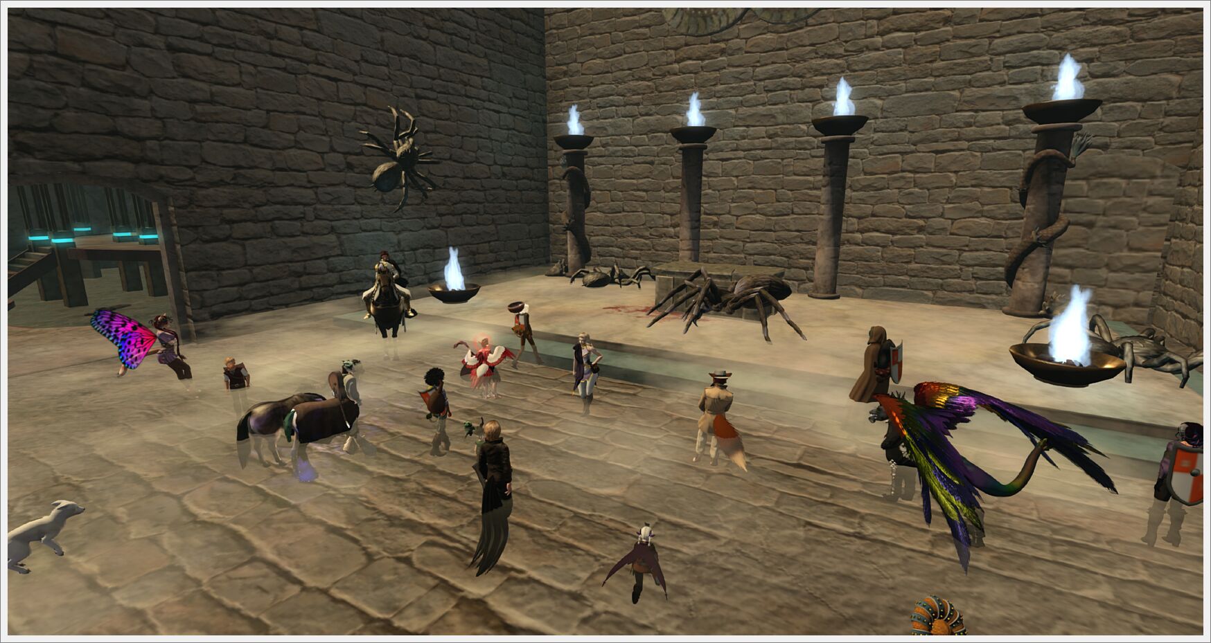 bards-day-6008