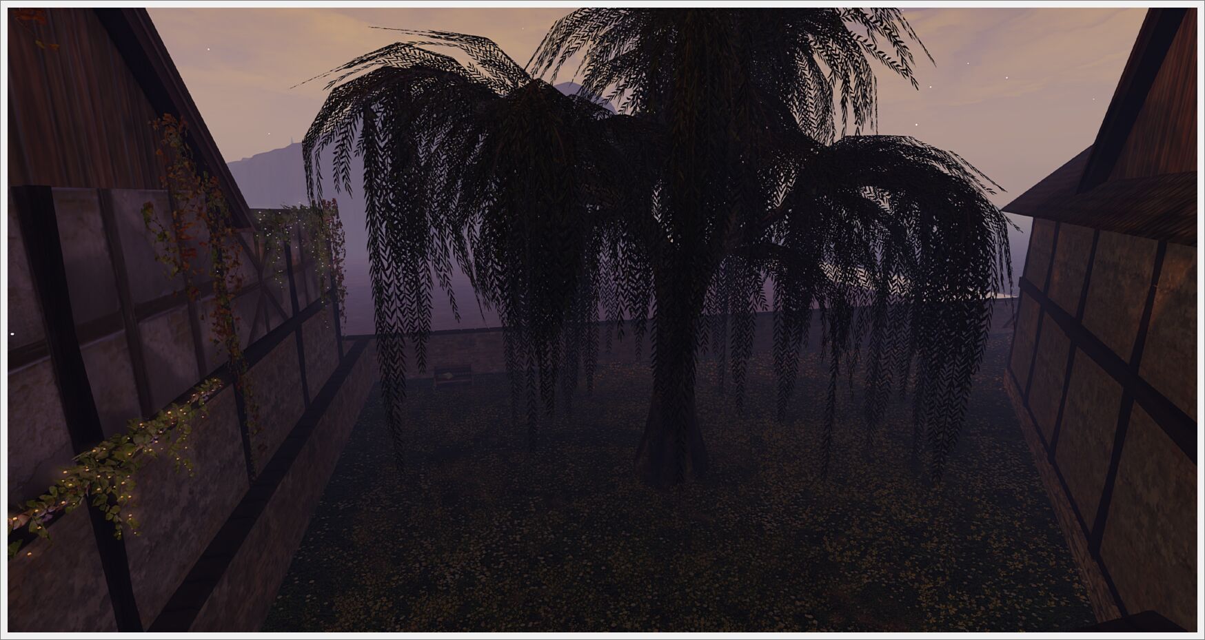 willow-012