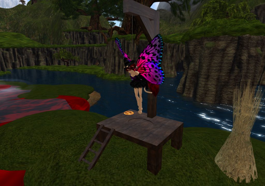 Snapshot_1135