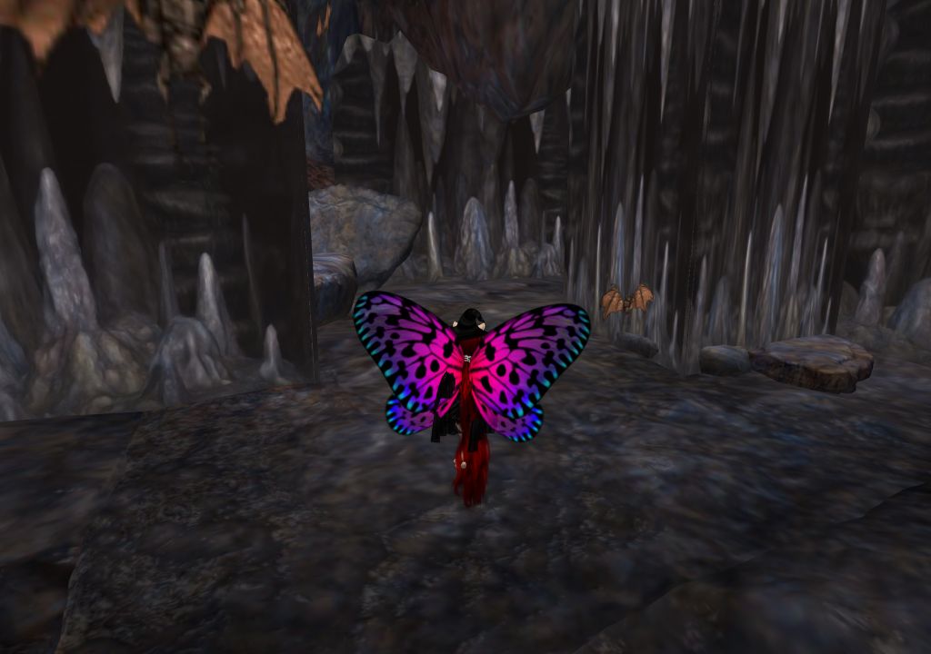 Snapshot_1141