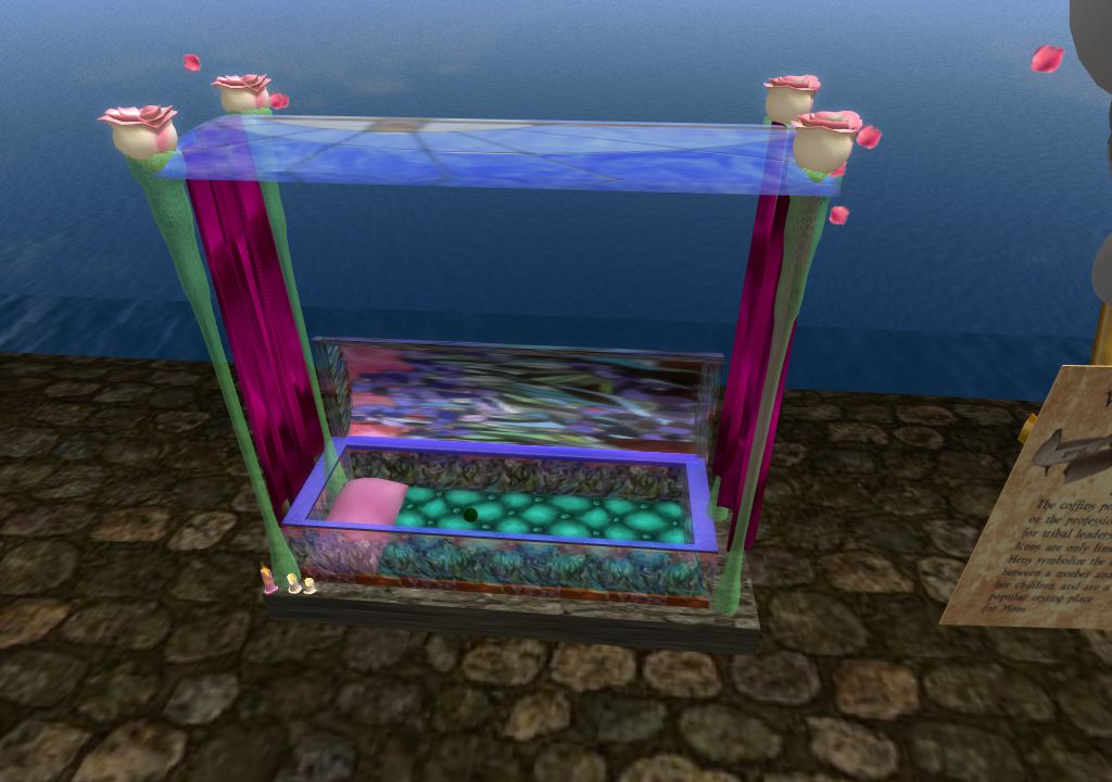 Snapshot_1076