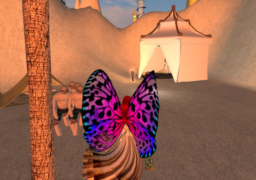 Snapshot_1097
