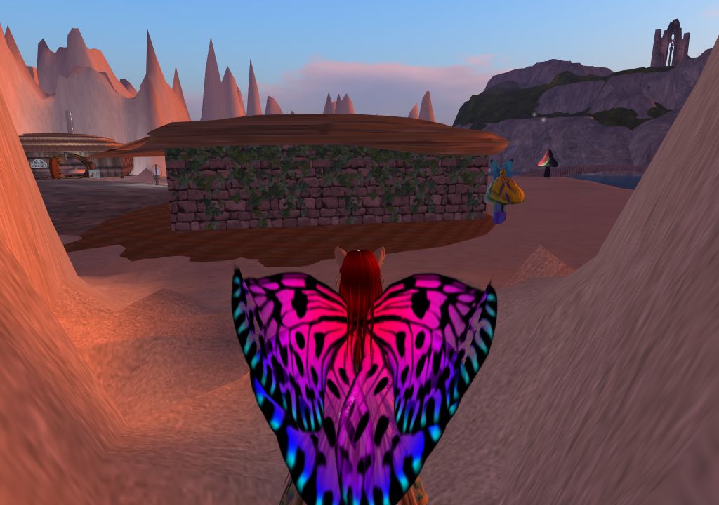 Snapshot_1107