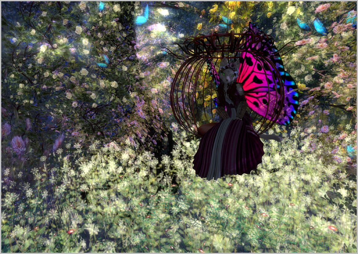 Paradiso-12