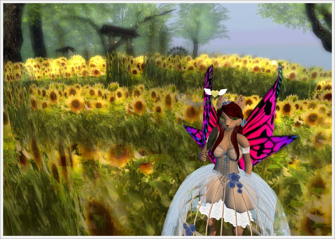 QuietAfterEvening-08