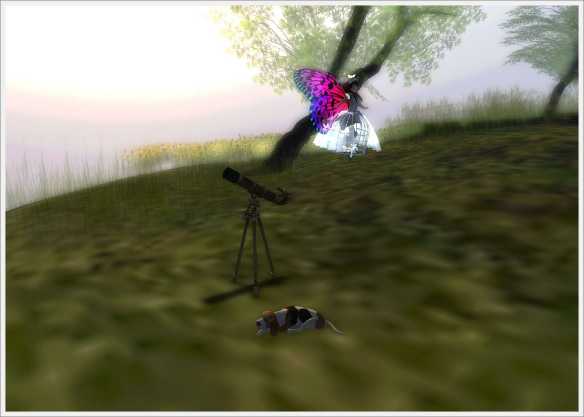 QuietAfterEvening-10