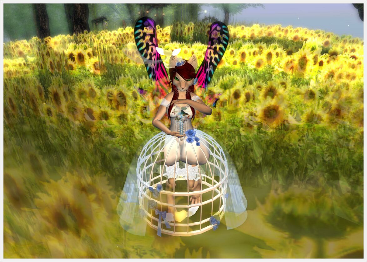 QuietAfterEvening-12