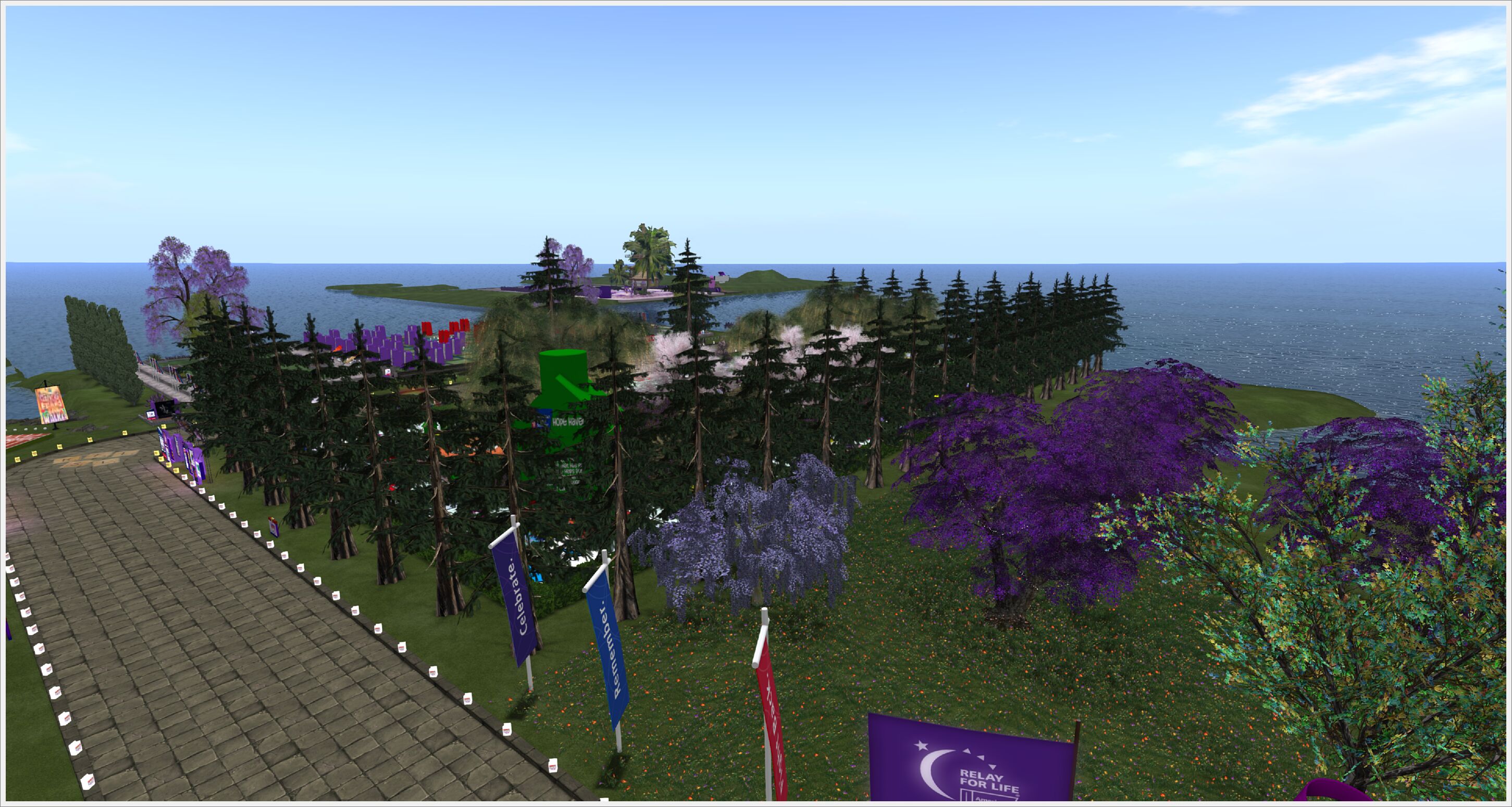 rfl2020pre-238