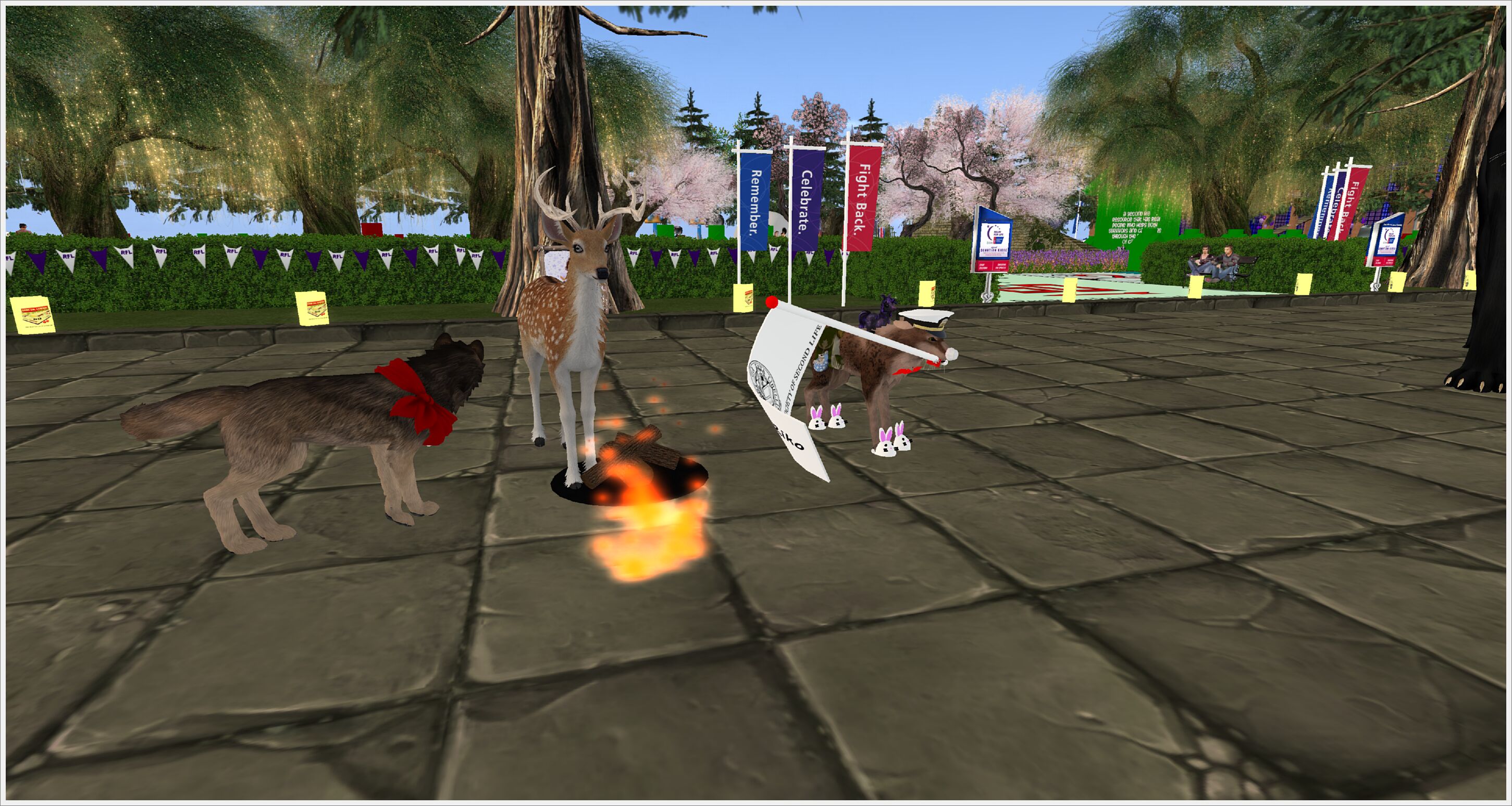 rfl2020-014