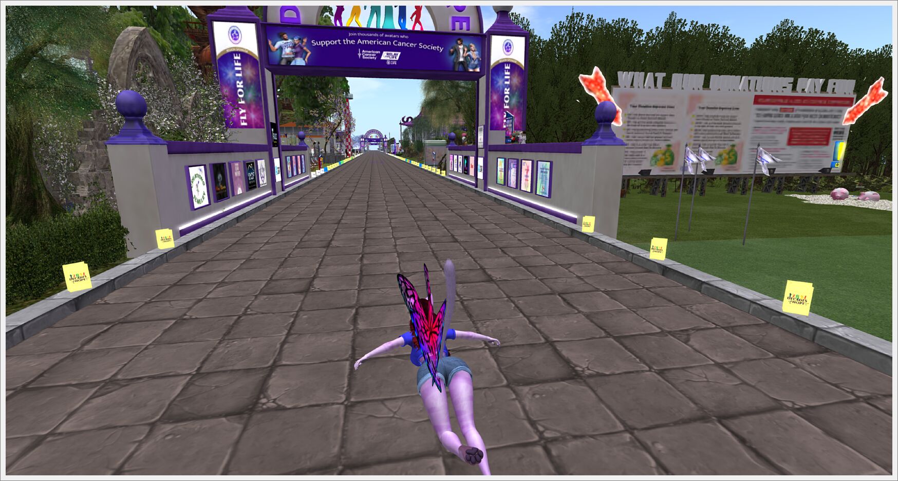 Snapshot_021
