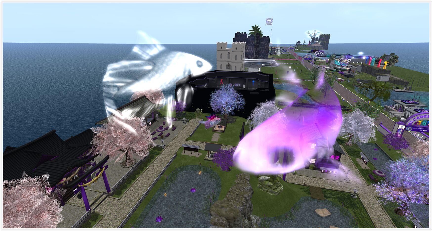 Snapshot_223