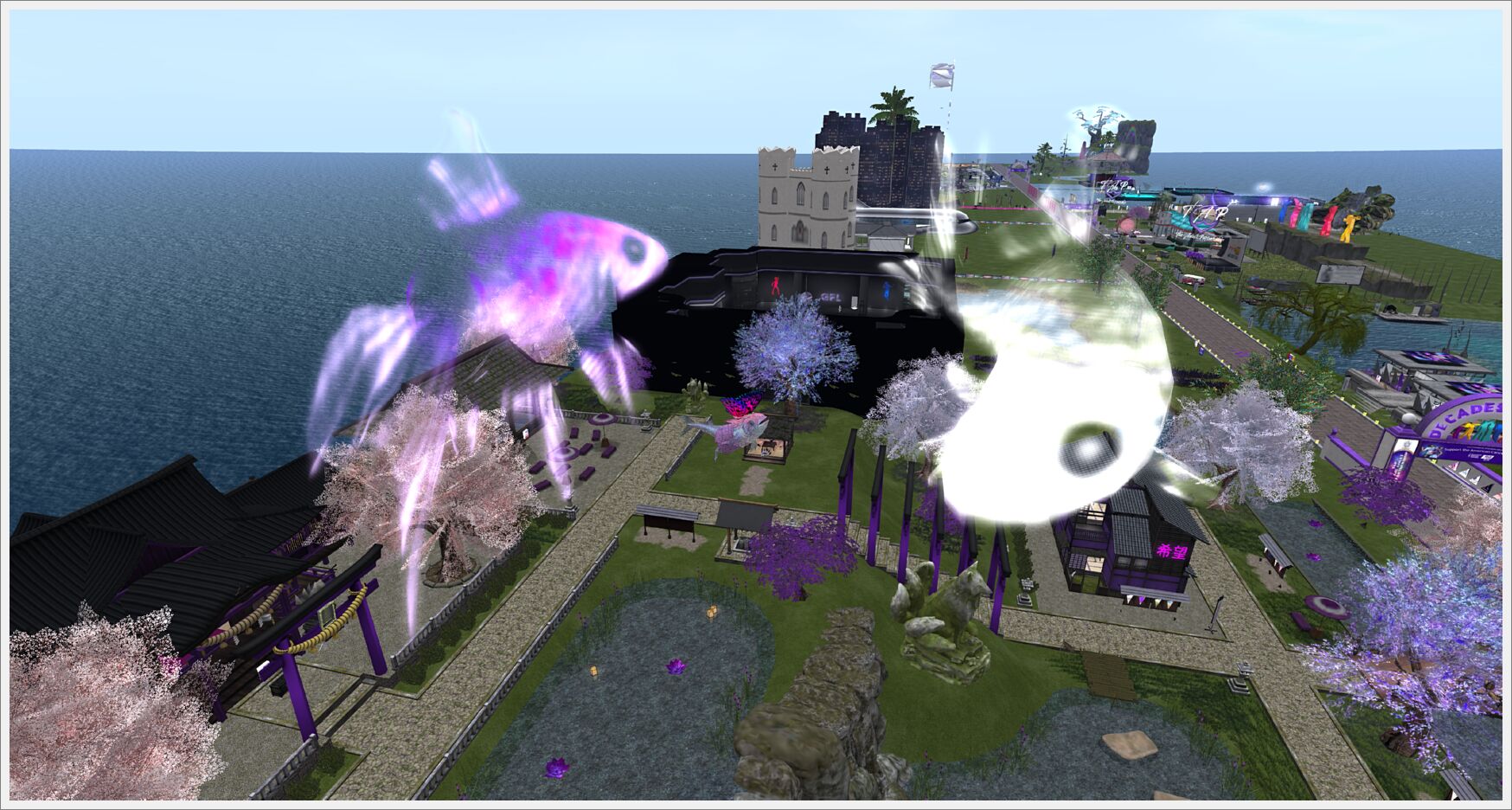 Snapshot_224