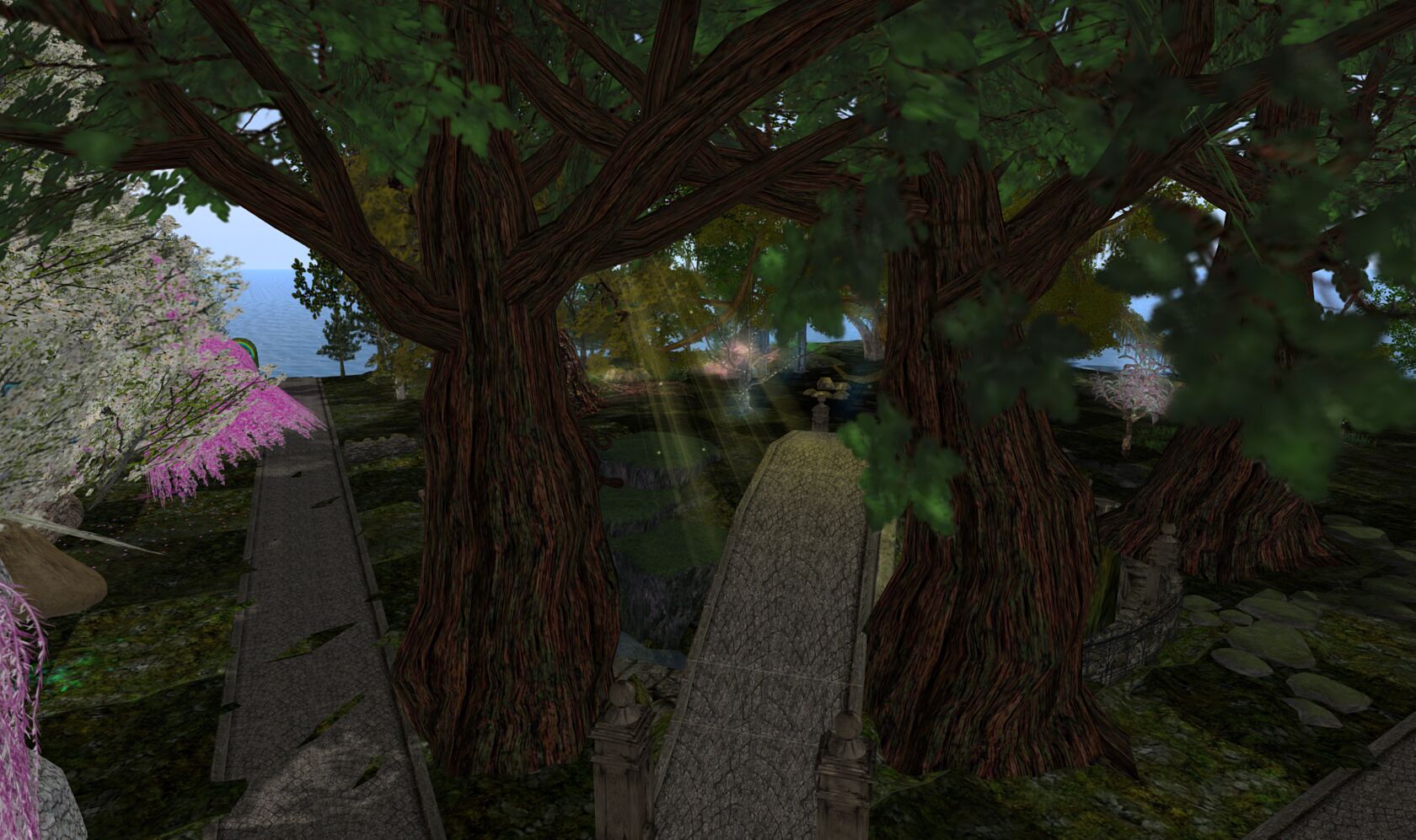 steelheadNevermoor_026