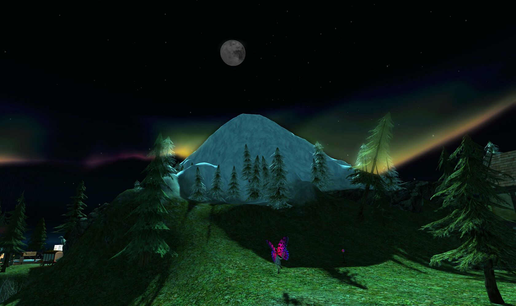 steelheadsthellens_001