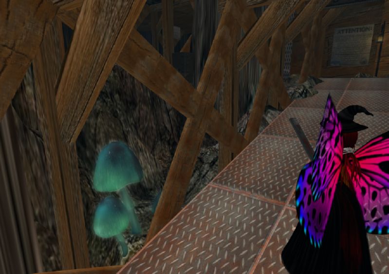 Snapshot_1369