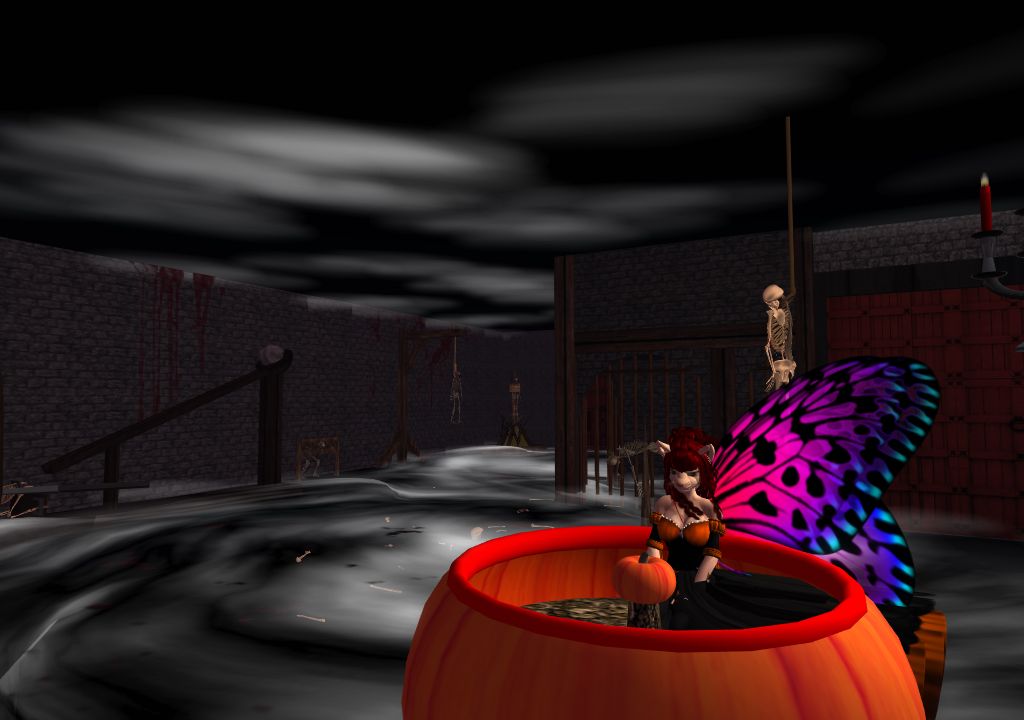 Snapshot_1204
