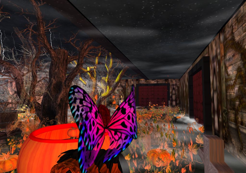 Snapshot_1213