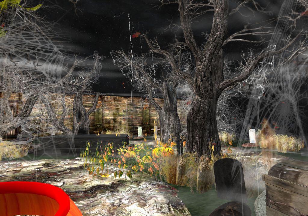 Snapshot_1238