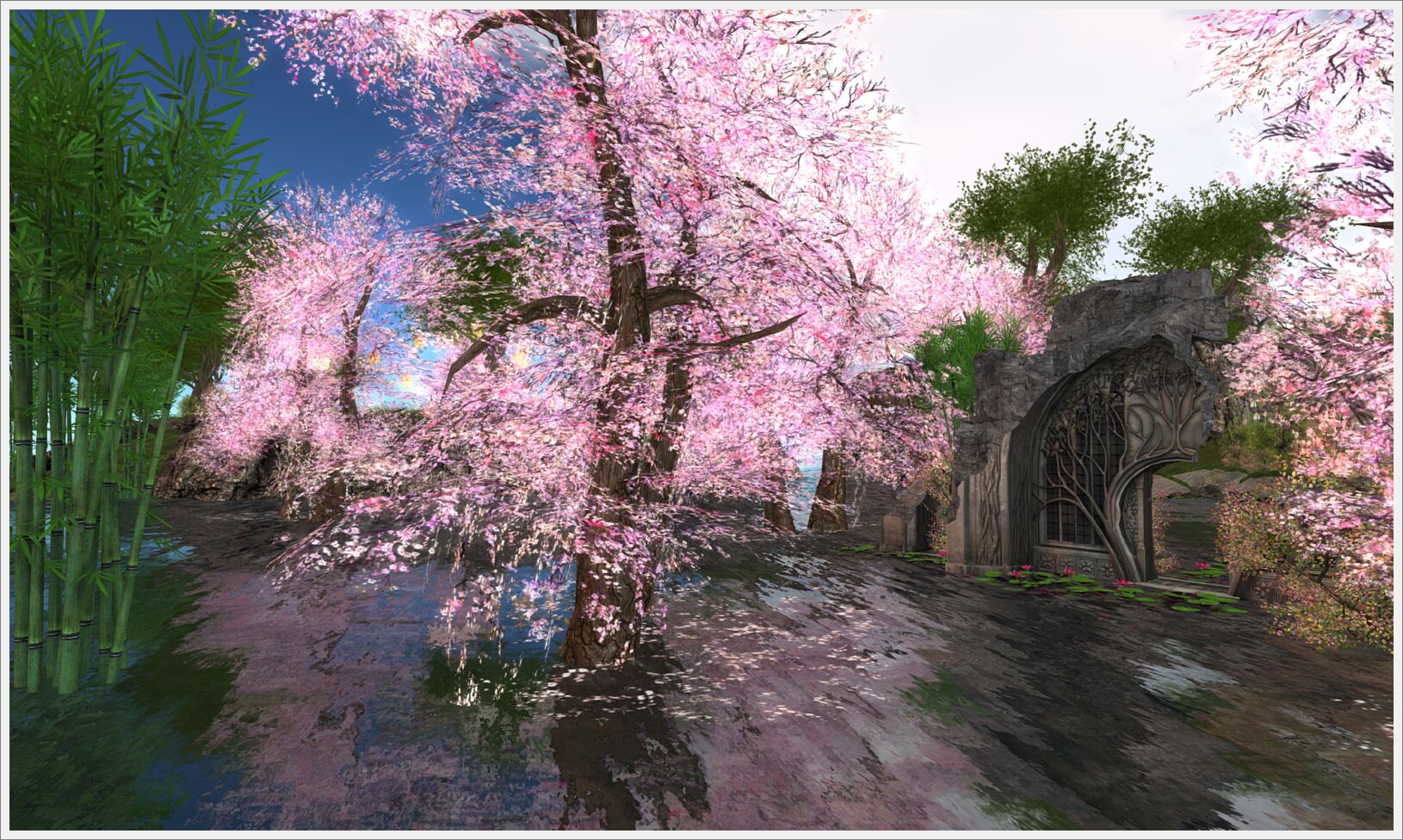 Dreamsofsakura045