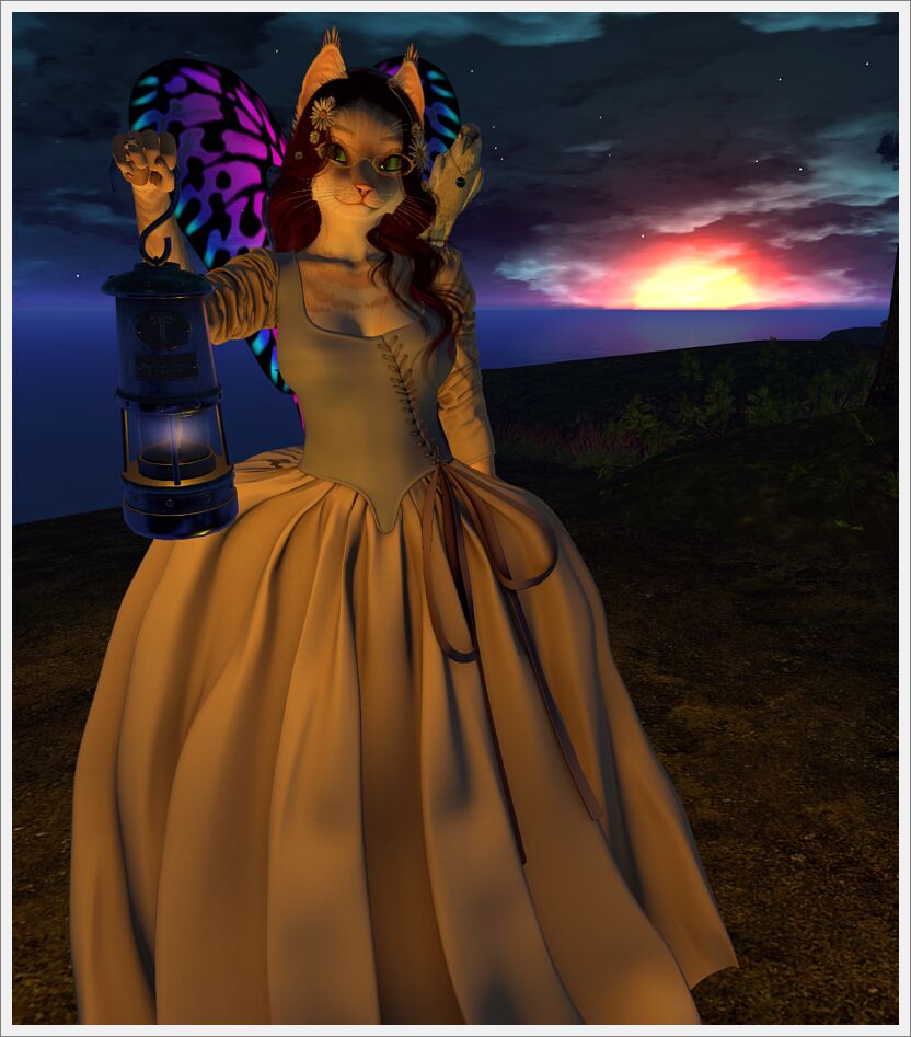 dream_2025-05-06_014102_001