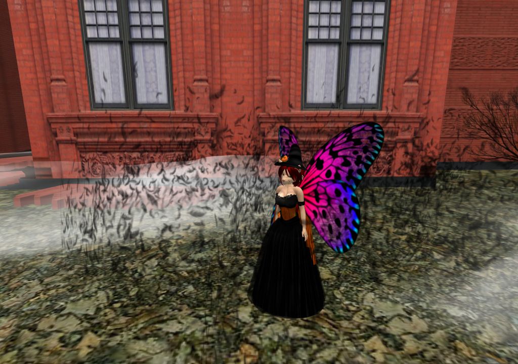 Snapshot_1394