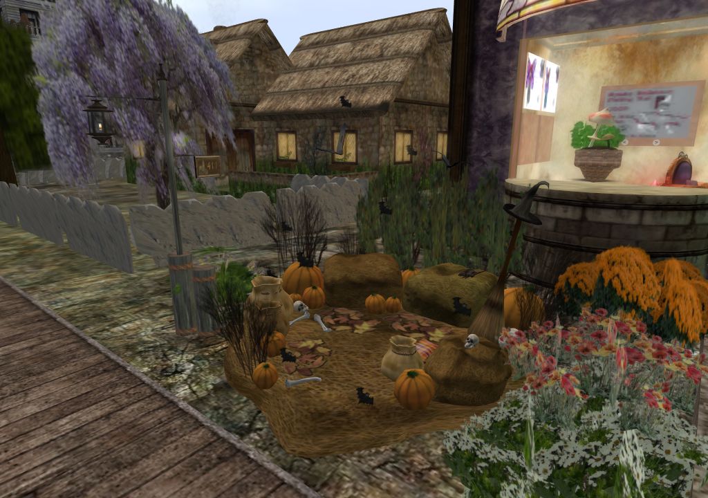 Snapshot_1444