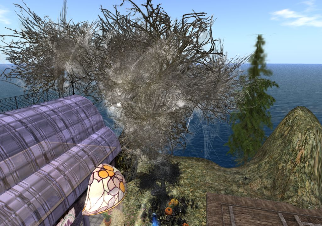 Snapshot_1446