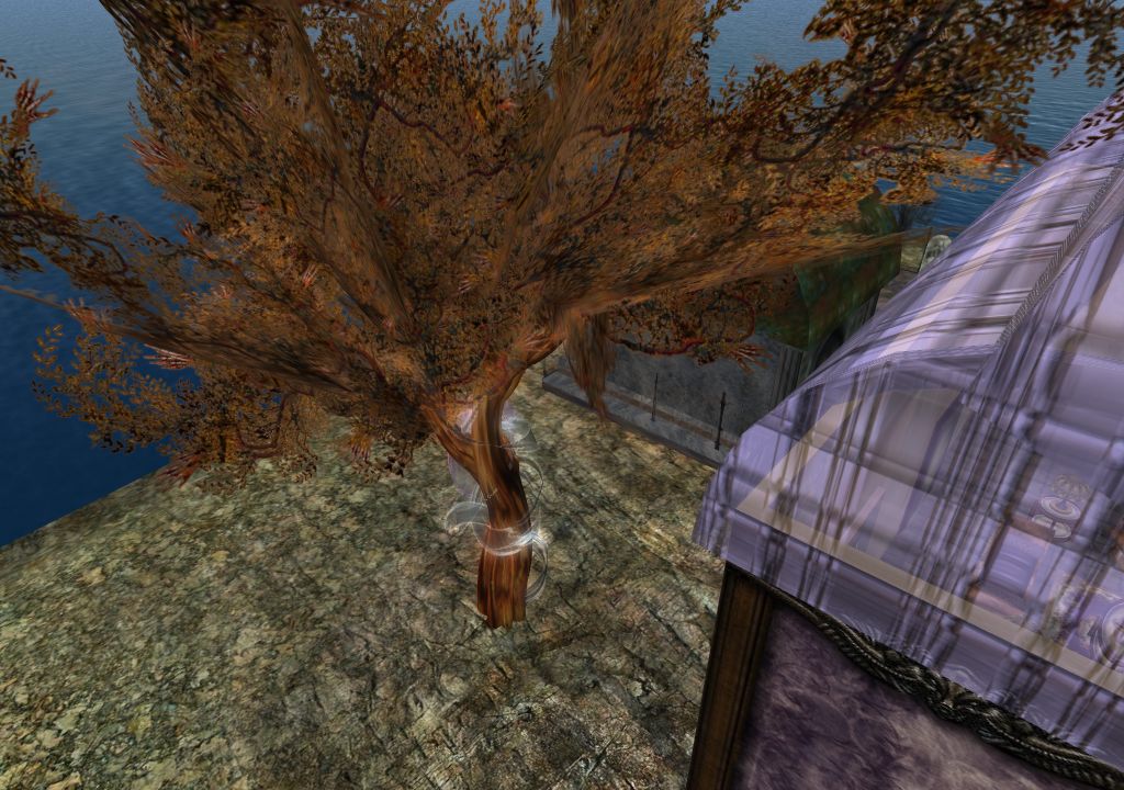 Snapshot_1452