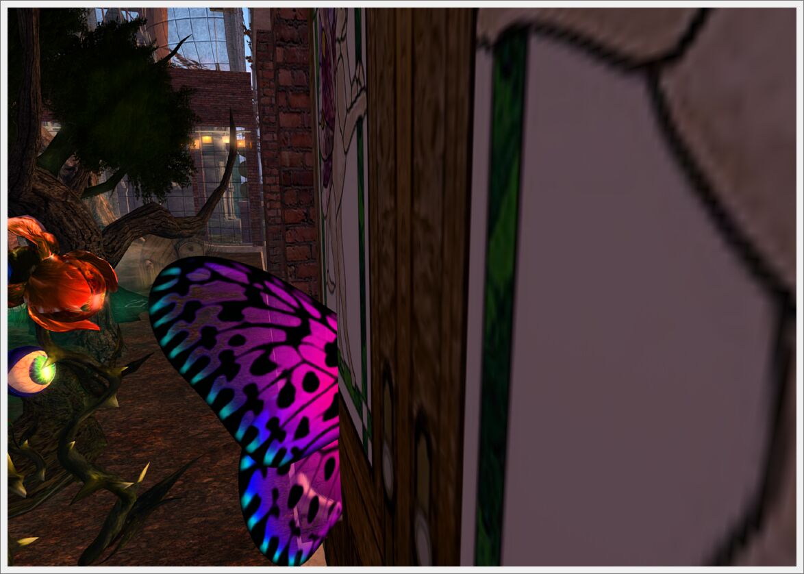 Snapshot_002