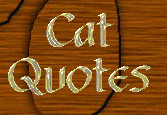 Quotes about cats